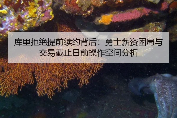 库里拒绝提前续约背后：勇士薪资困局与交易截止日前操作空间分析