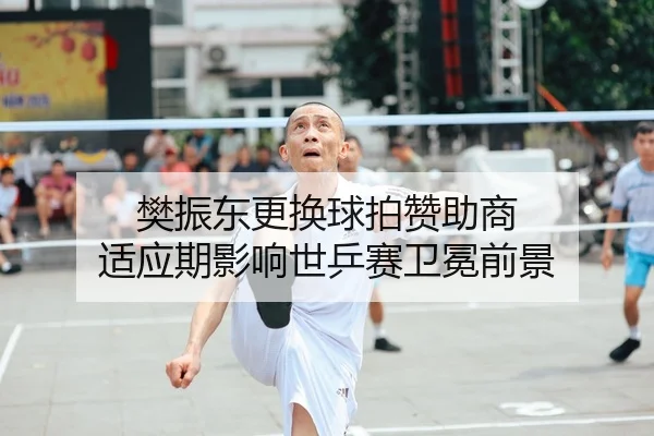 樊振东更换球拍赞助商 适应期影响世乒赛卫冕前景